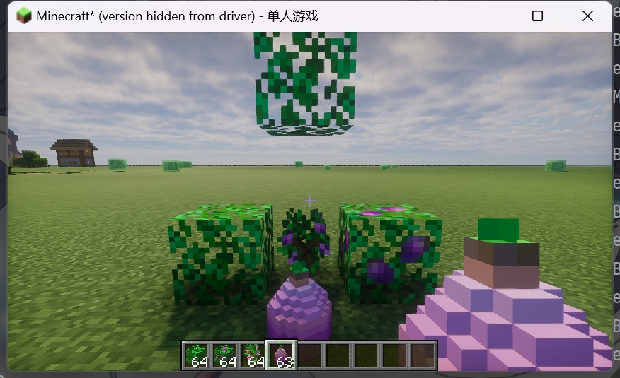 堇瓜树物品展示